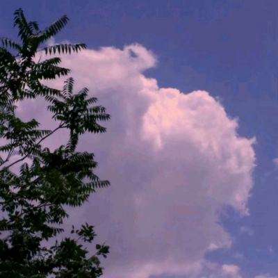 公交印贞洁是嫁妆标语 别变公害广告